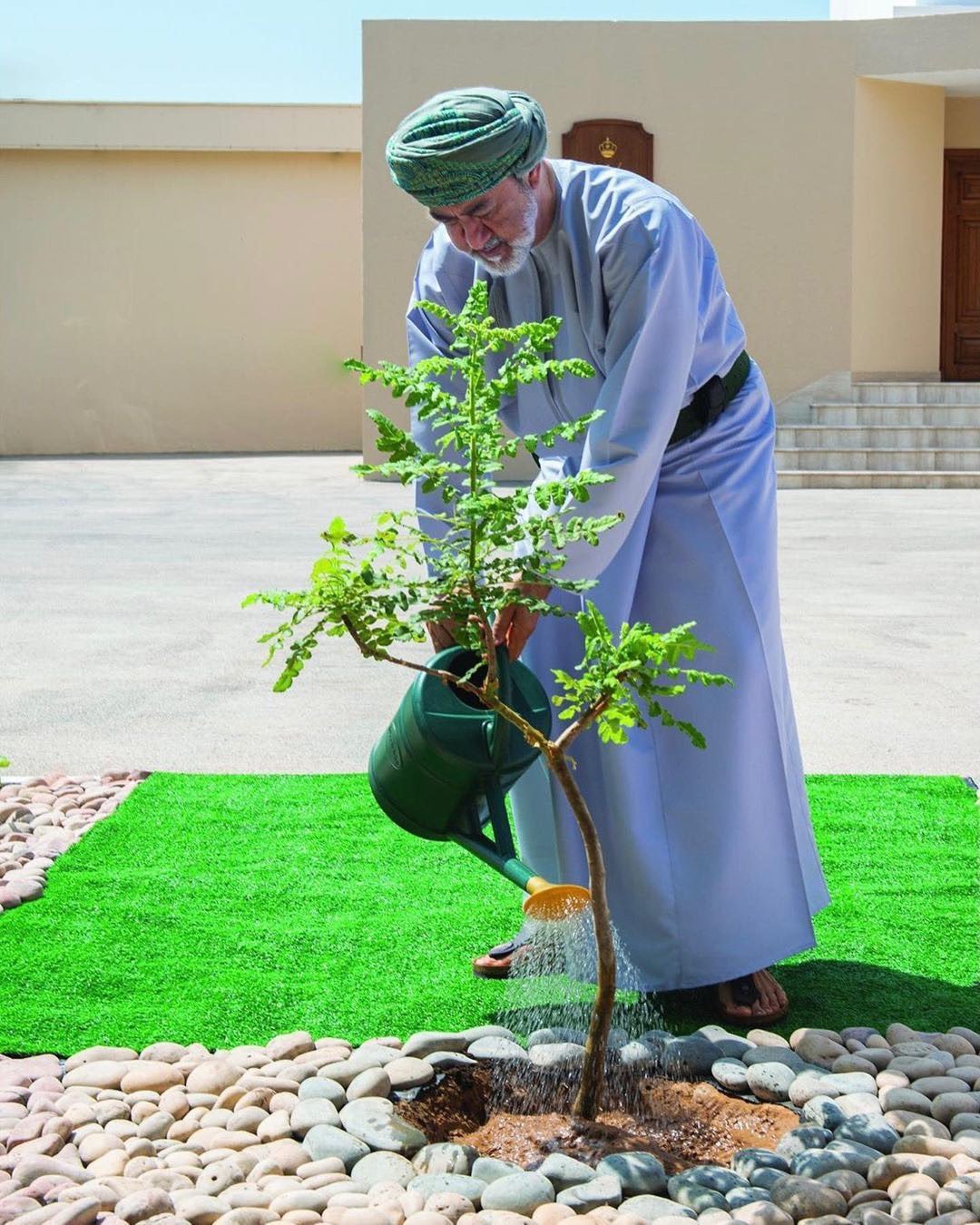 Oman Tree Day: A call to action for a greener Oman