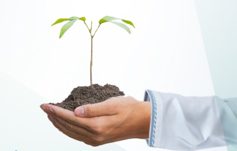 Celebrating Oman’s Day of Agriculture: Honoring Our Roots and Aiming for a Sustainable Future