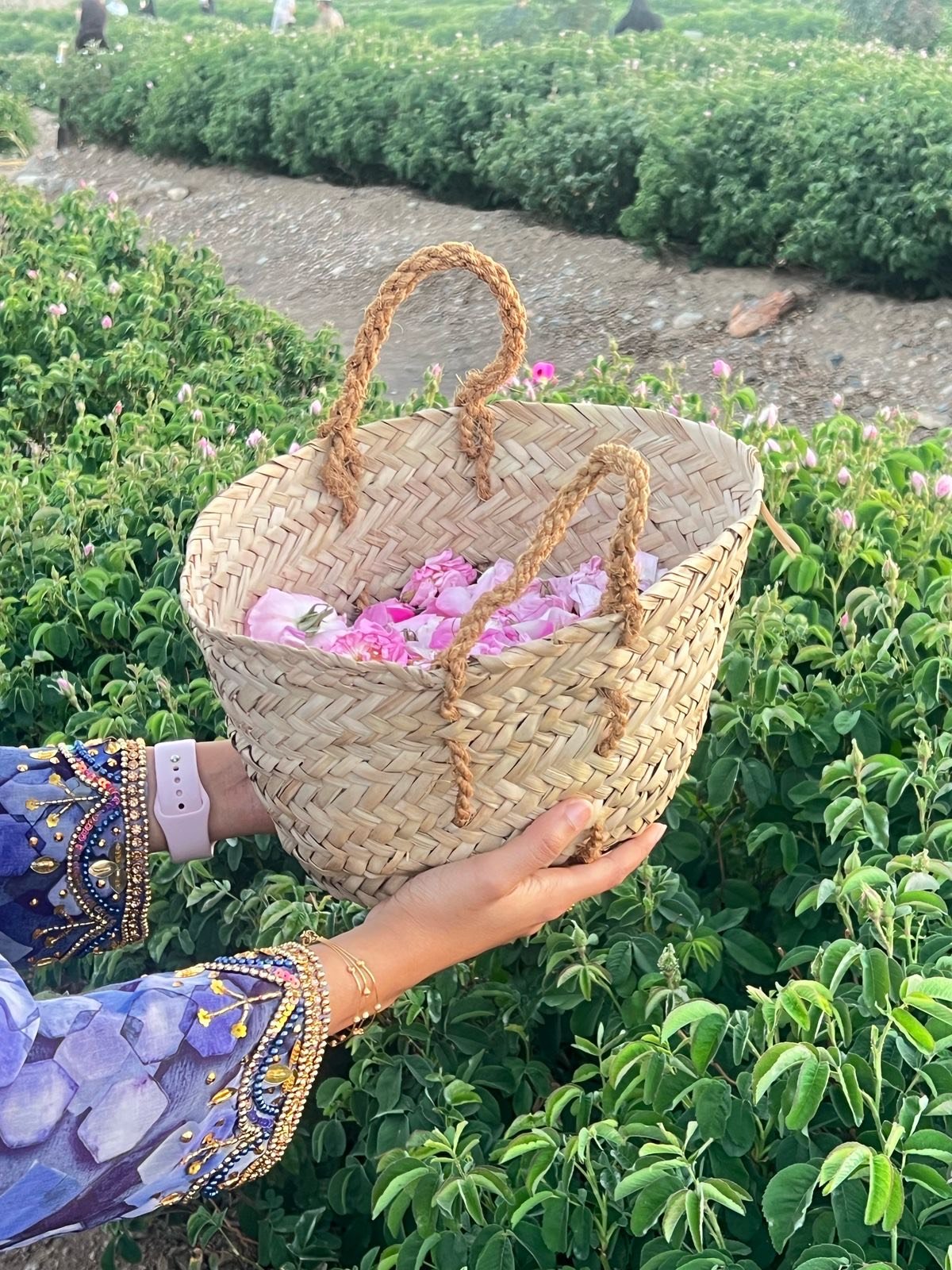 A Fragrant Escape: Discovering Rose Farms and Traditional Rosewater in Jabal Akhdar