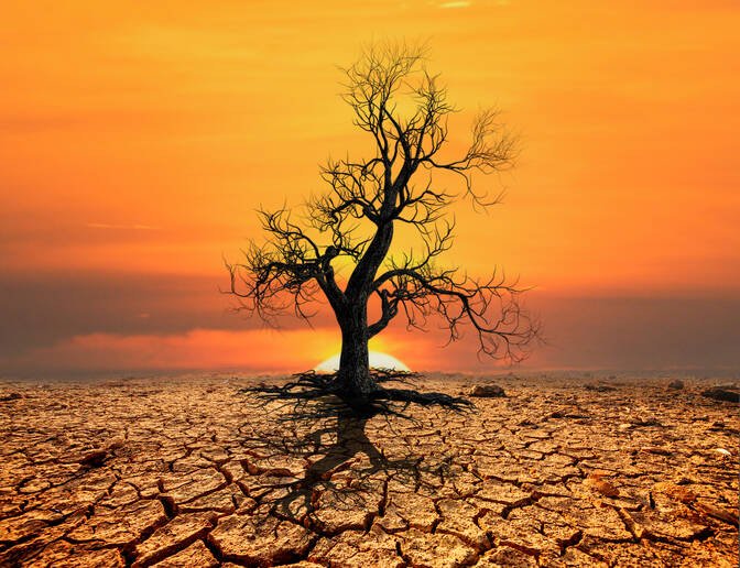 Oman Showcases Sustainability on World Day to Combat Desertification and Drought