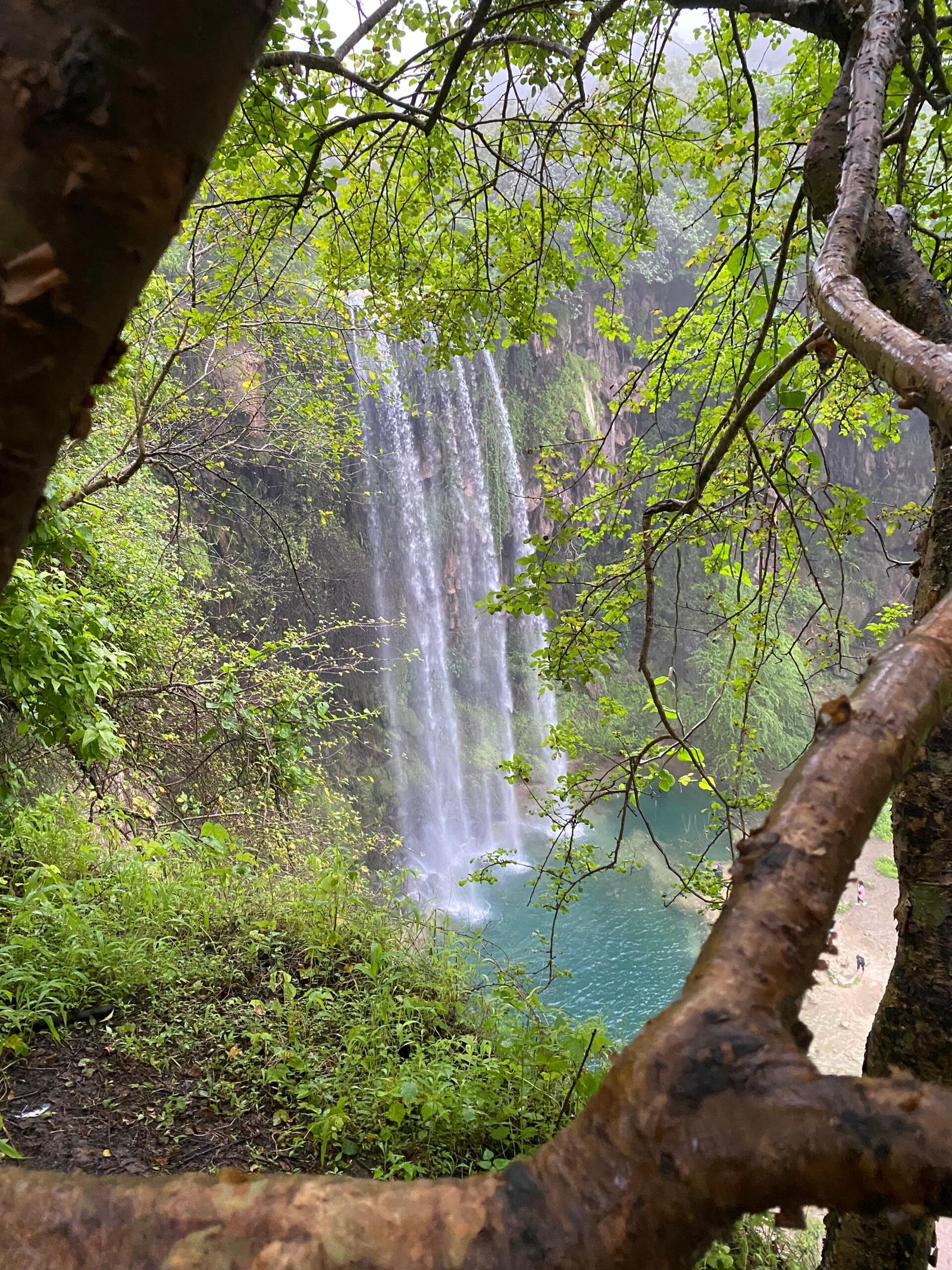 Discover the Beauty of Salalah’s Springs: Your Serene Natural Destination in Autumn