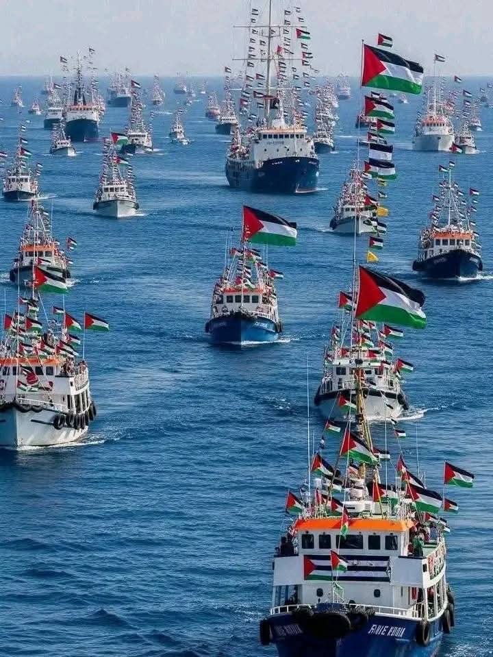 GCC Among the Global Resilience Fleet: A Historic Moment for Gulf Unity