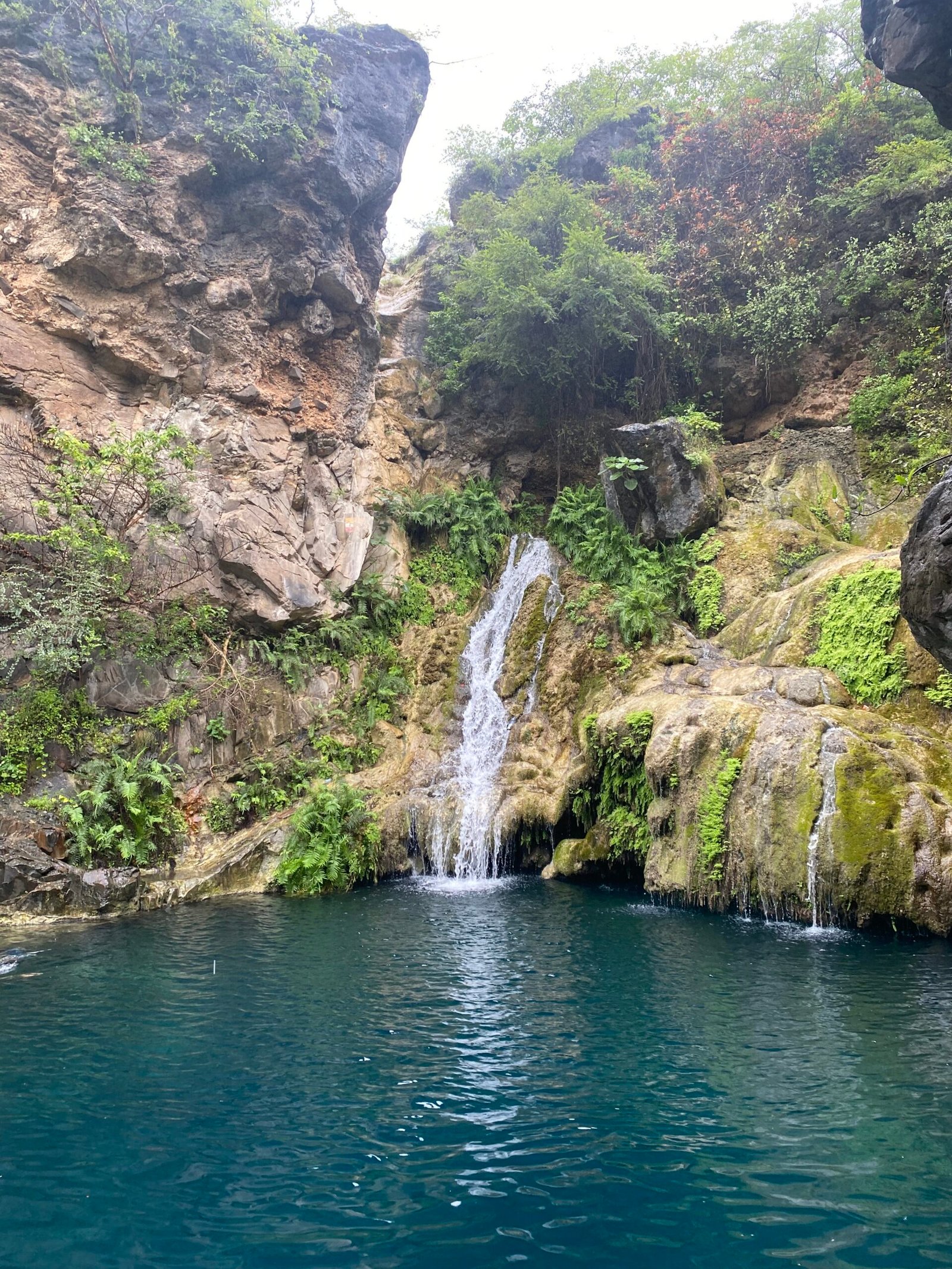 Dhofar Revives 12 Natural Springs in 2025 to Secure Water Resources and Preserve Heritage