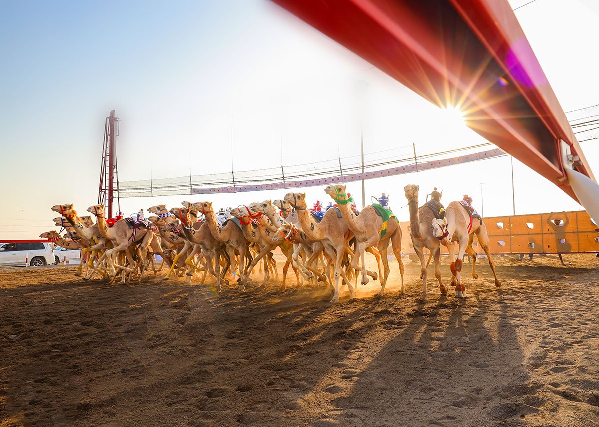 Al Bashayer Camel Racing Festival: Heritage Revival & Sustainable Development
