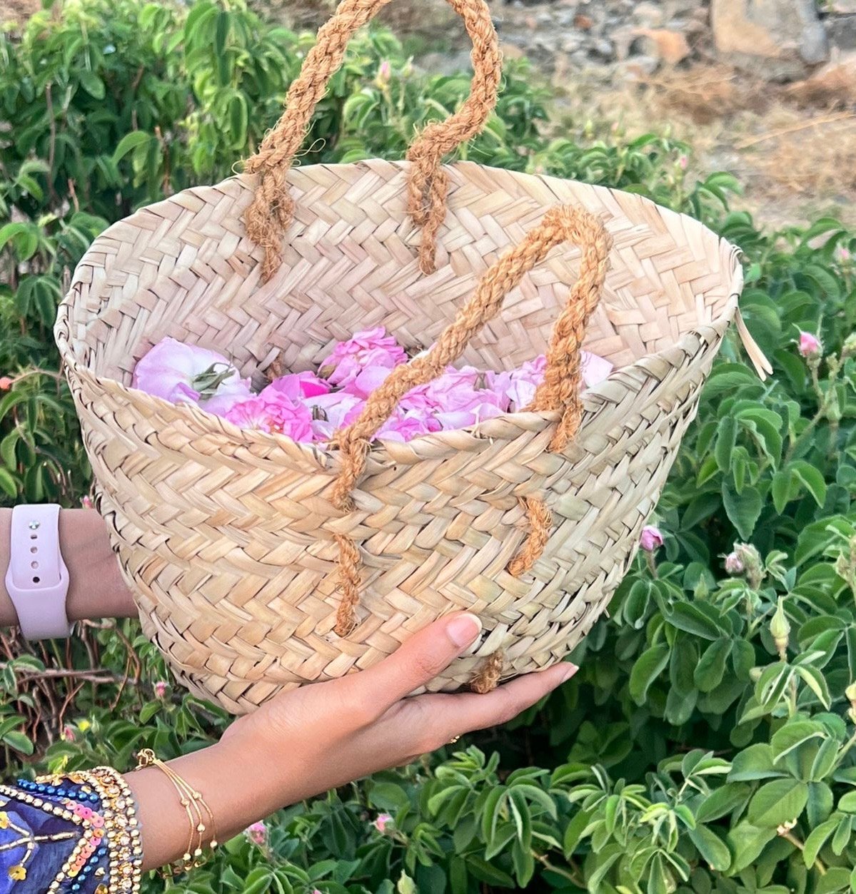 The Rose Season Begins: Al Jabal Al Akhdar Welcomes the Rose Spring Festival 2026