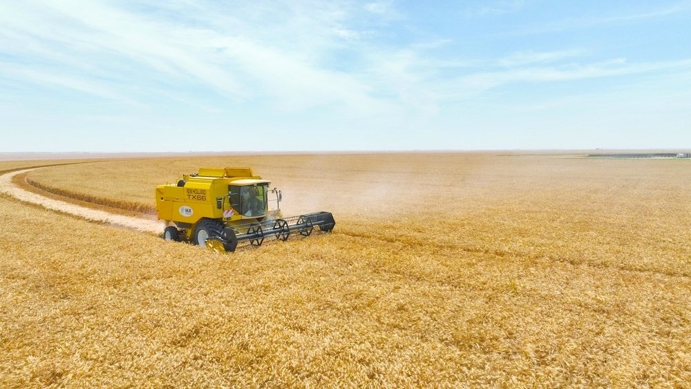 Thumrait Wheat Harvest Field Day Highlights Oman’s Agricultural Growth and Food Security Goals