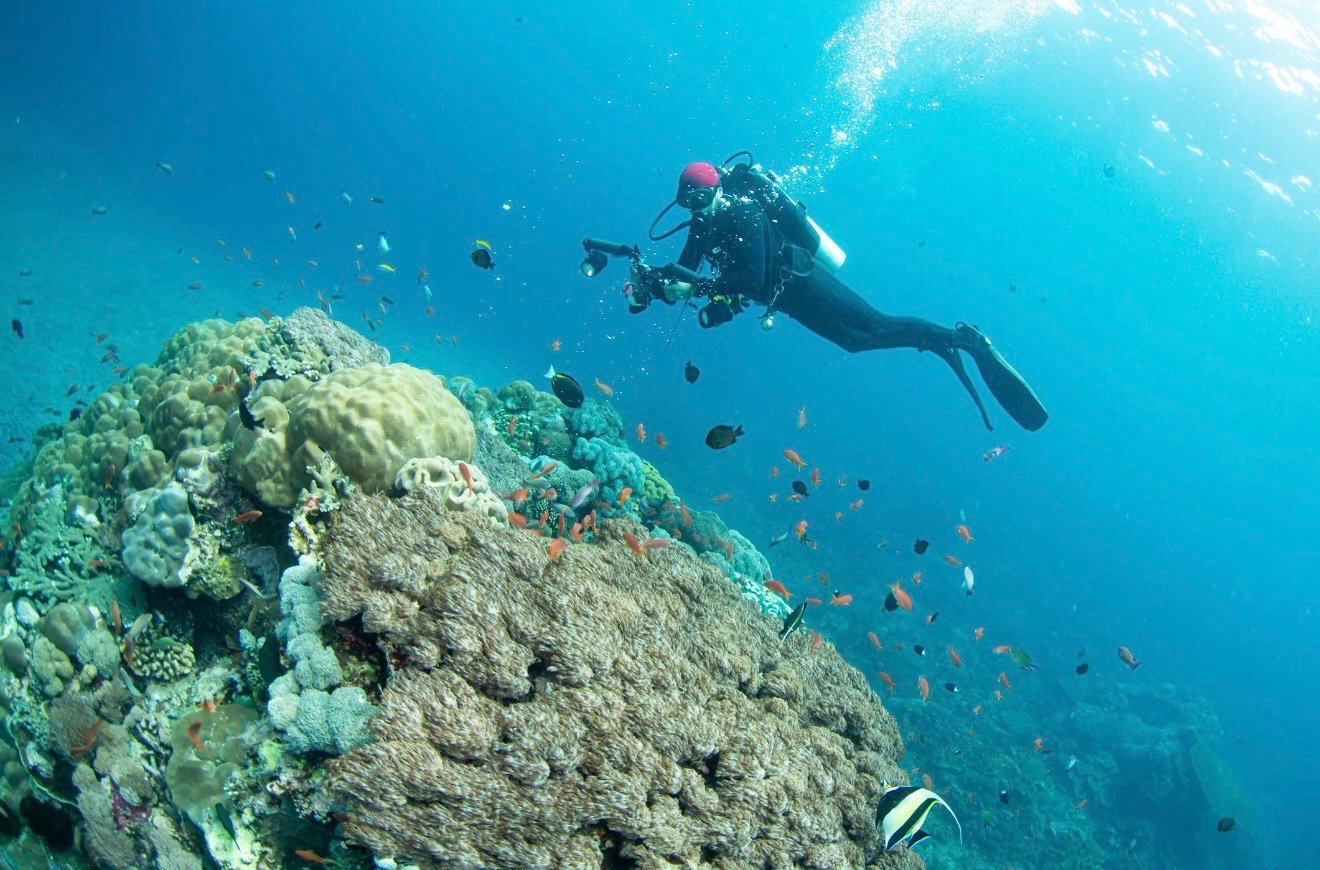 Dive Into Summer: Discover Oman’s Underwater Paradise